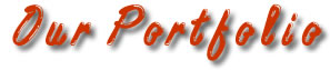 Our Portfolio